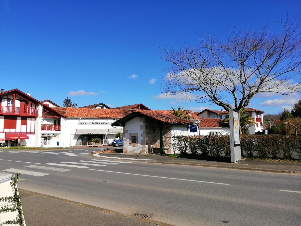 Katixa Apartment Saint-Pee-sur-Nivelle Ngoại thất bức ảnh